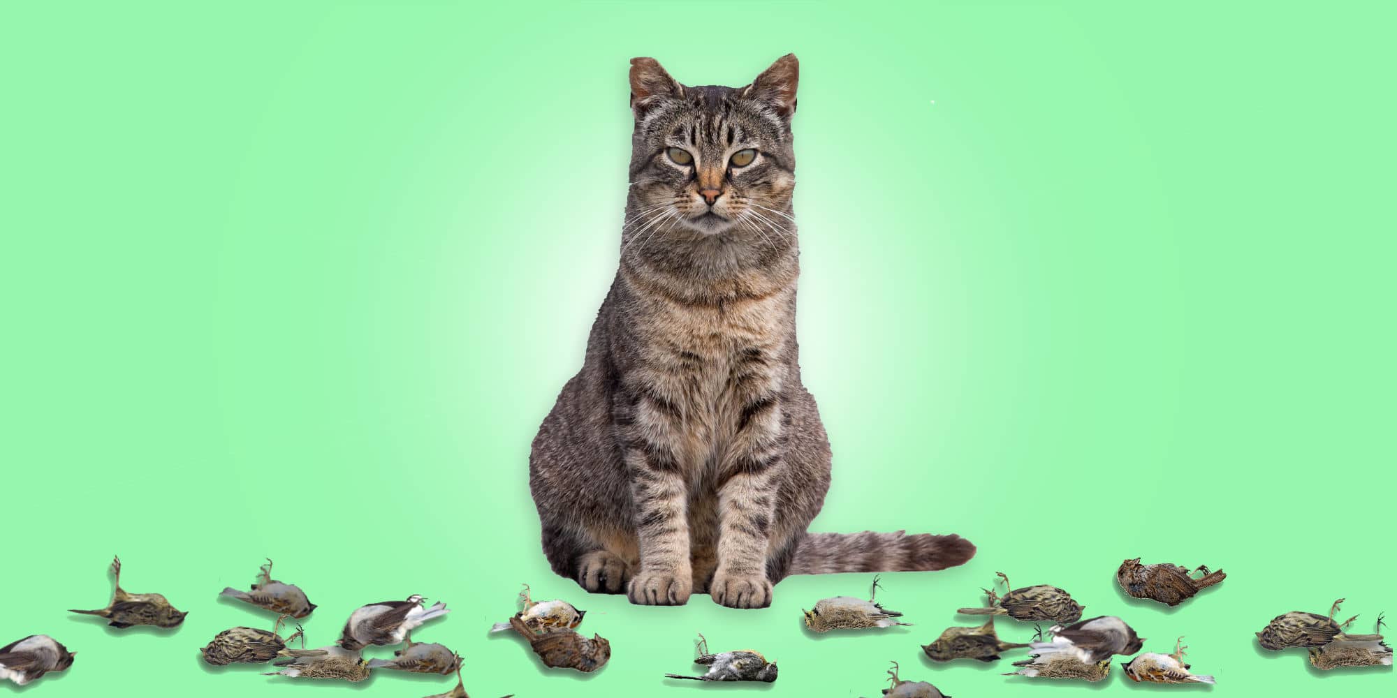 Photo illustration by The Capital