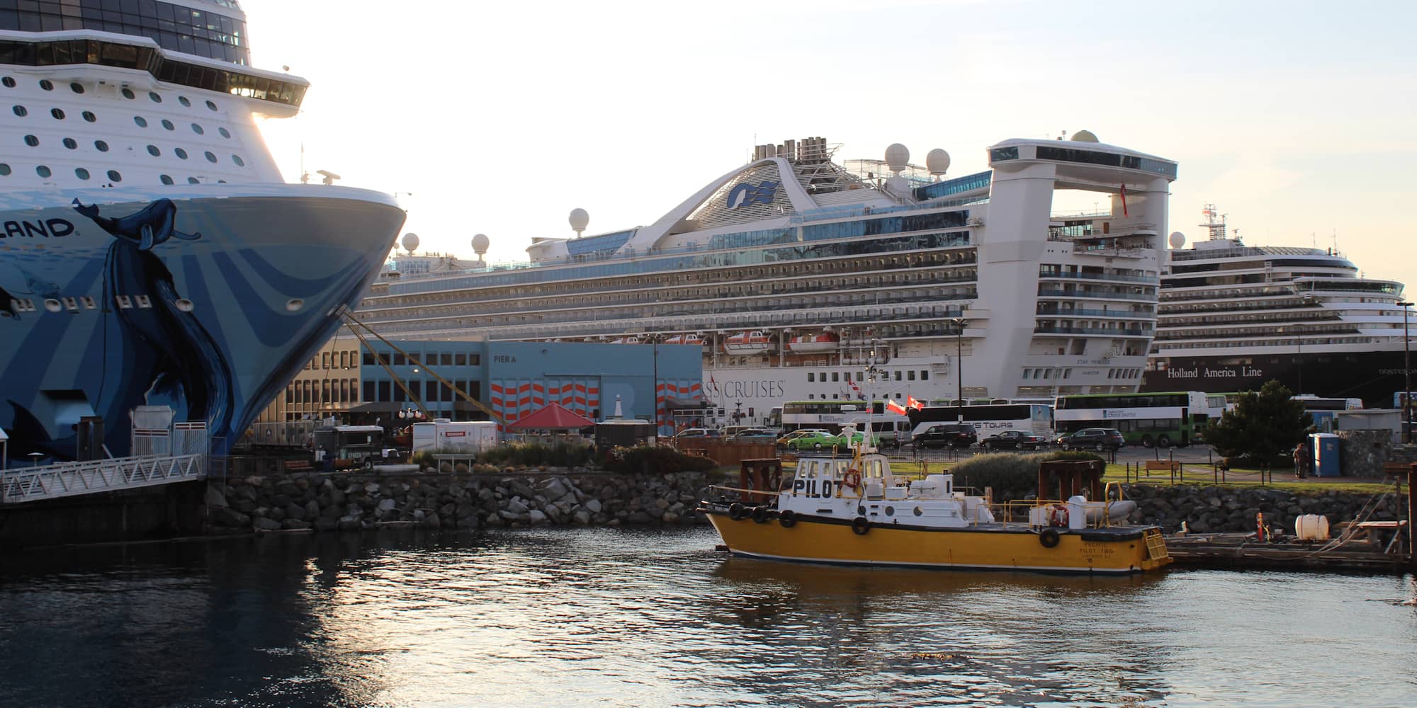 Cruise ships lined up at Ogden Point in 2019. The centre ship, the Star Princess, is the sister ship to Grand Princess, which was recently quarantined off the California coast due to a COVID-19 outbreak aboard (Credit: Anne Catherine for The Capital).