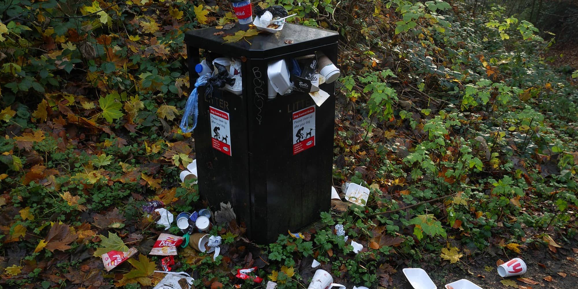 An unexpected side effect of COVID-19 has been the sight of overflowing urban garbage cans the world over (Pixabay.com)