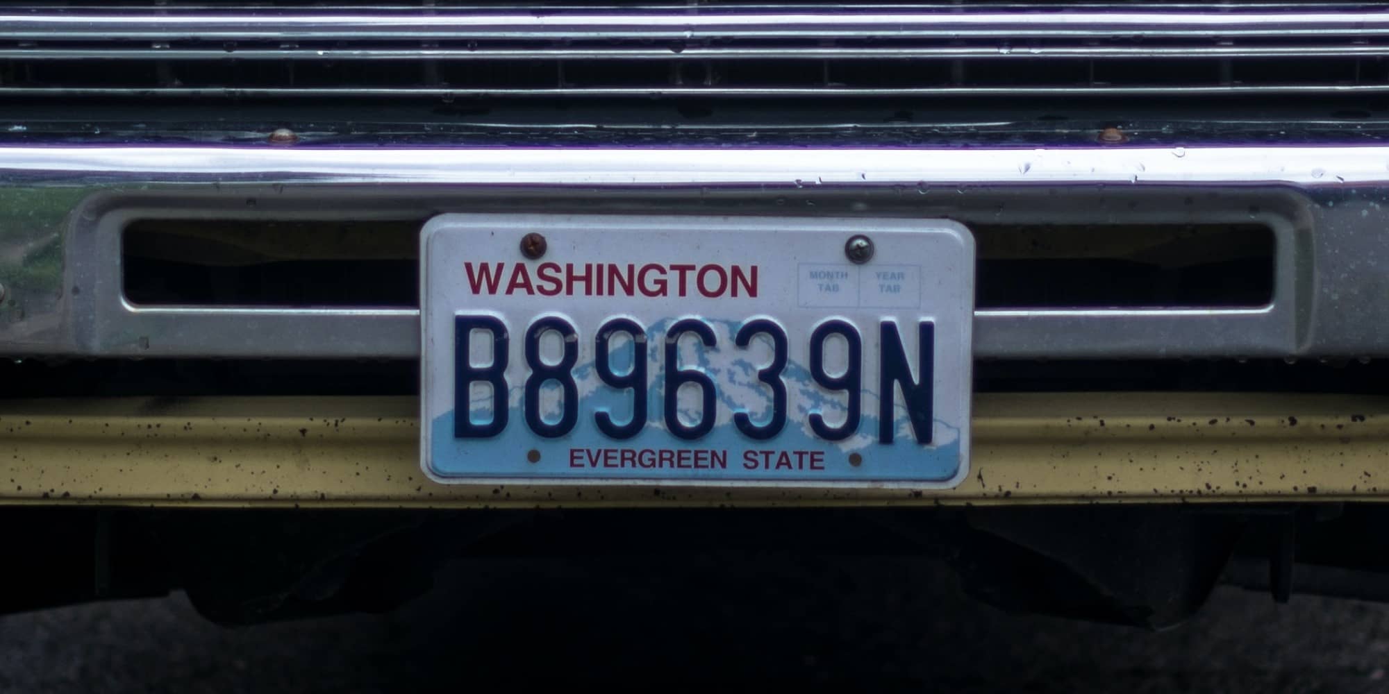That US plate likely doesn't signal a carrier of disease (Roman Pohorecki)