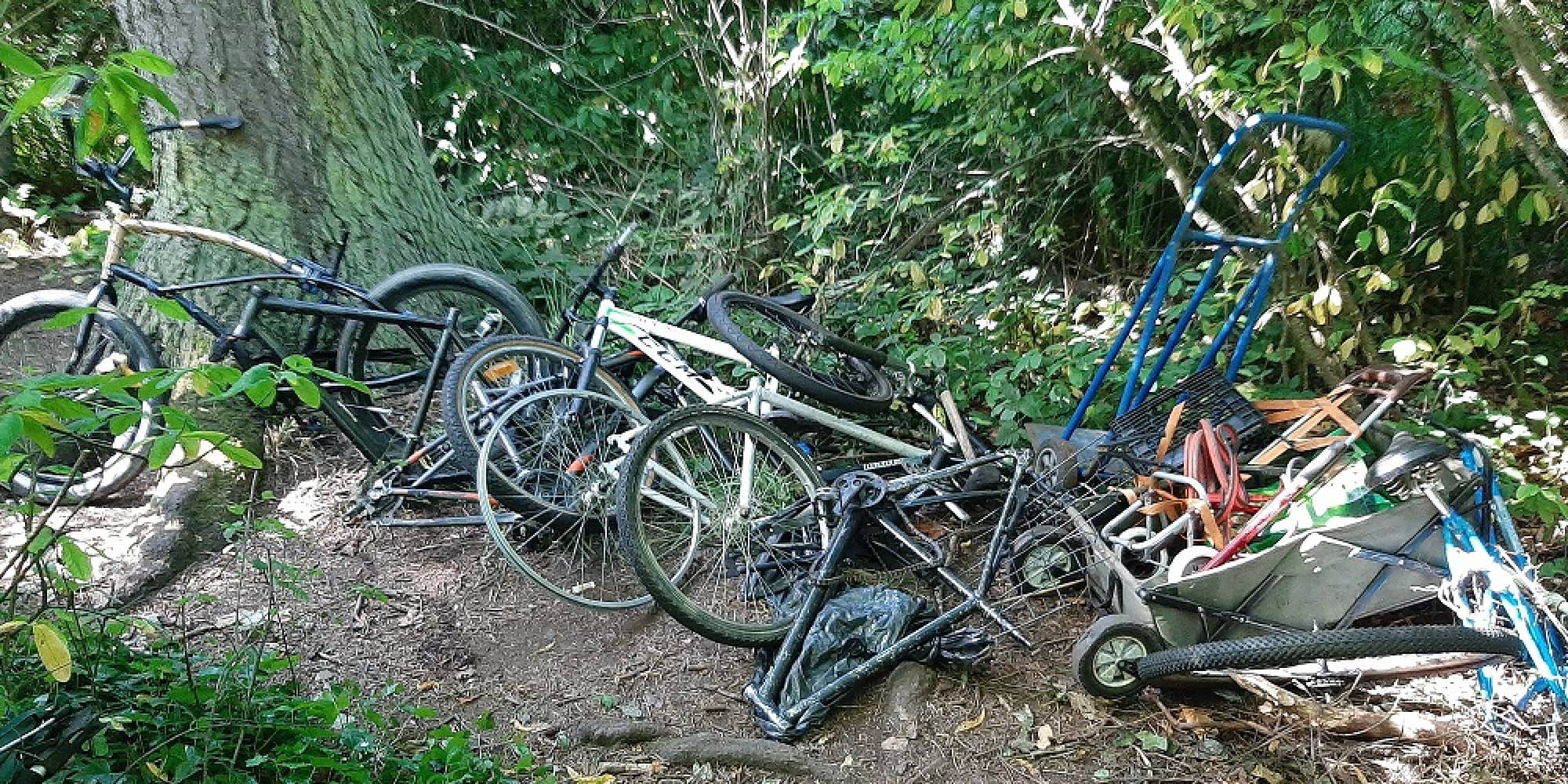 Images from an alleged "chop shop" operating within Beacon Hill Park that was raided last month (Source: Victoria Police)