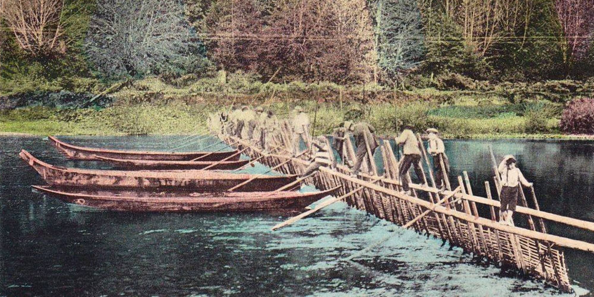 Colourized postcard showing Cowichan weir fishing, early 1900s.