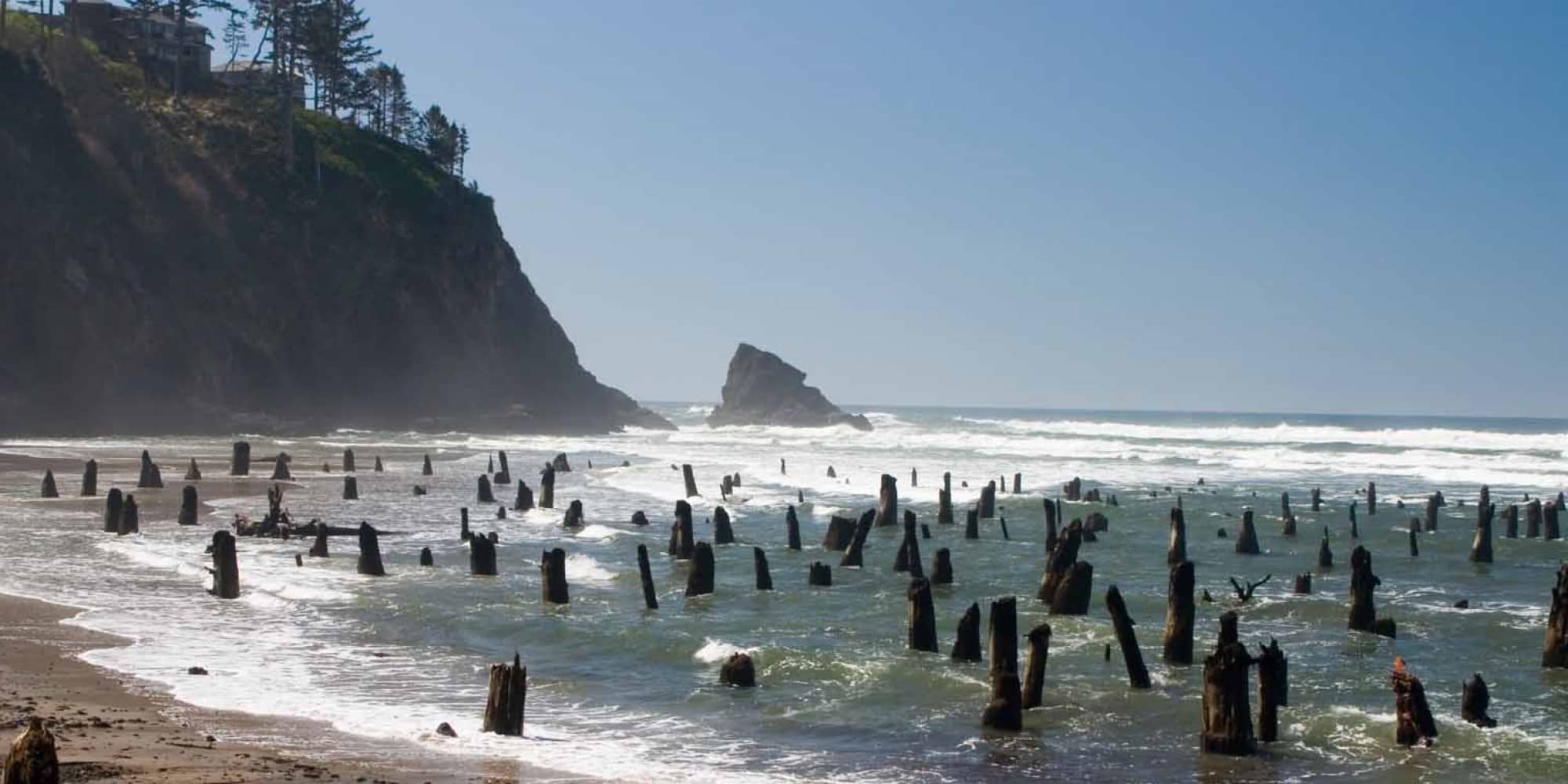 The Neskowin Ghost Forest in Oregon; one of many stands of dead trees on the West Coast killed by the effects of a violent 1700 earthquake and tsunami (Flickr.com/Rob DeGraff).