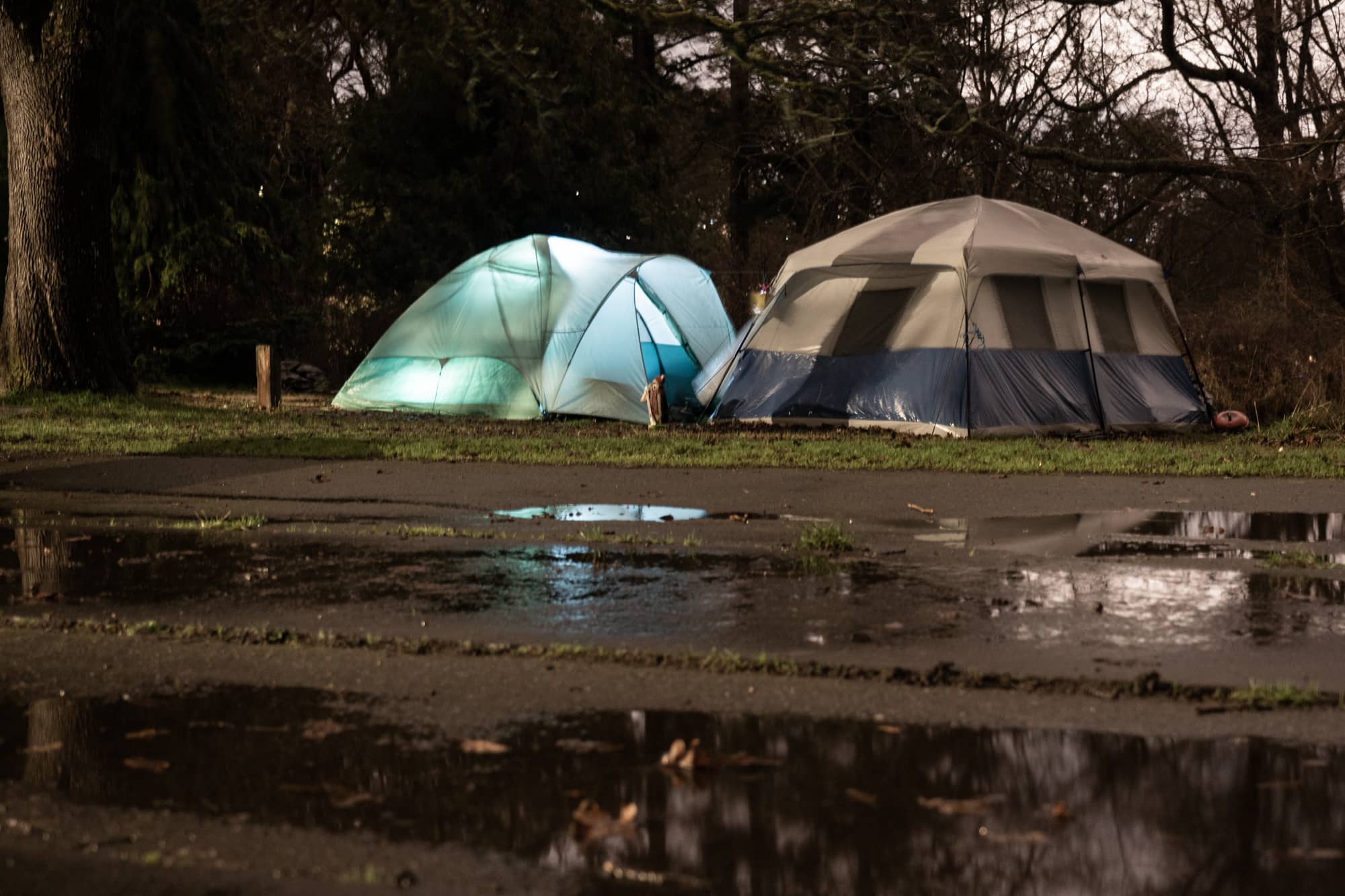 Tents in the wind and rain in Beacon Hill Park. Photo: Jimmy Thomson / Capital Daily