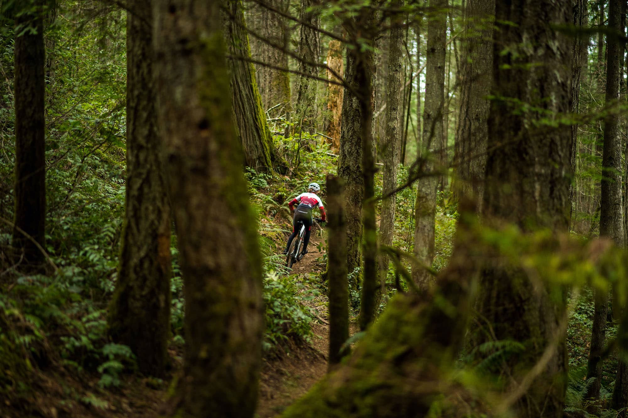 The degree to which mountain biking erodes trails and disturbs wildlife is still being debated. Photo: James MacDonald / Capital Daily