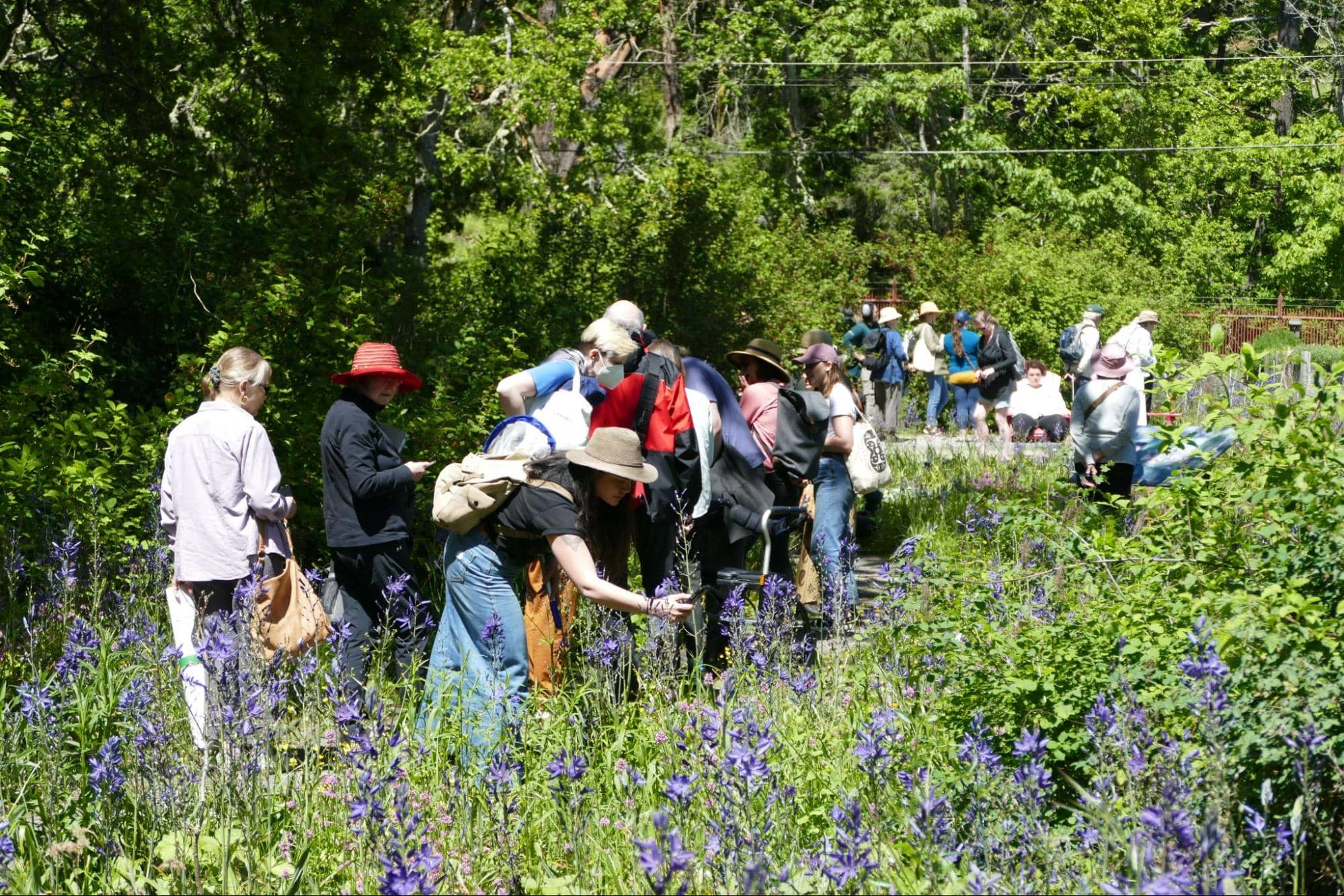 Meadow Makers on a field trip. Photo: Kristen Miskelly