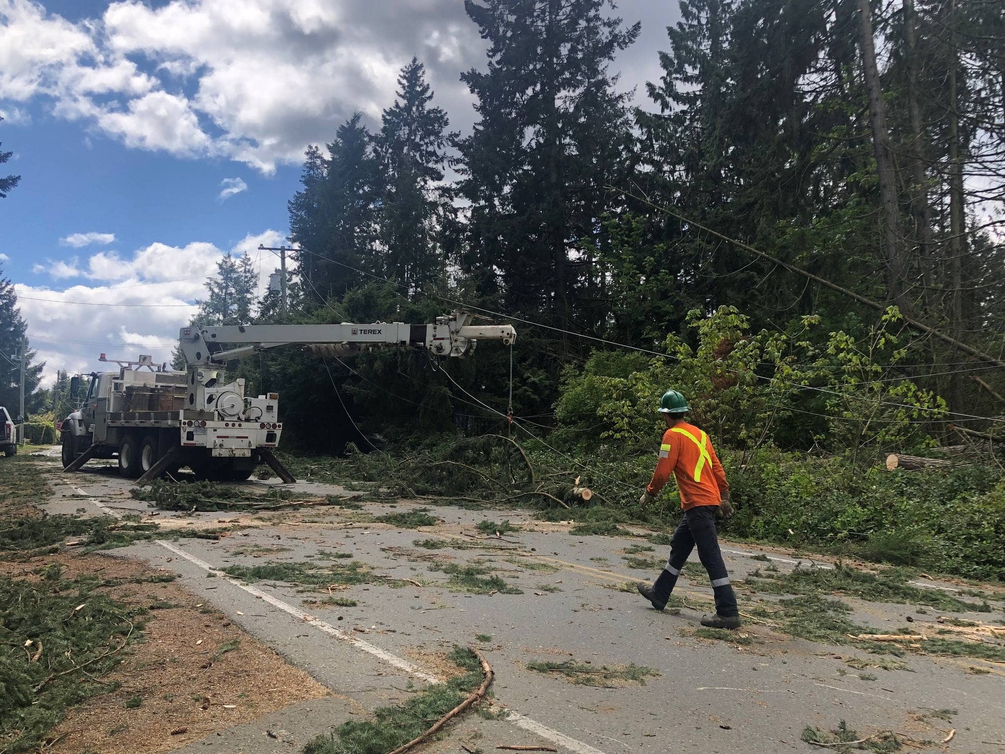 Crews clean up trees that took out a power line on the Island in May. Source: BC Hydro