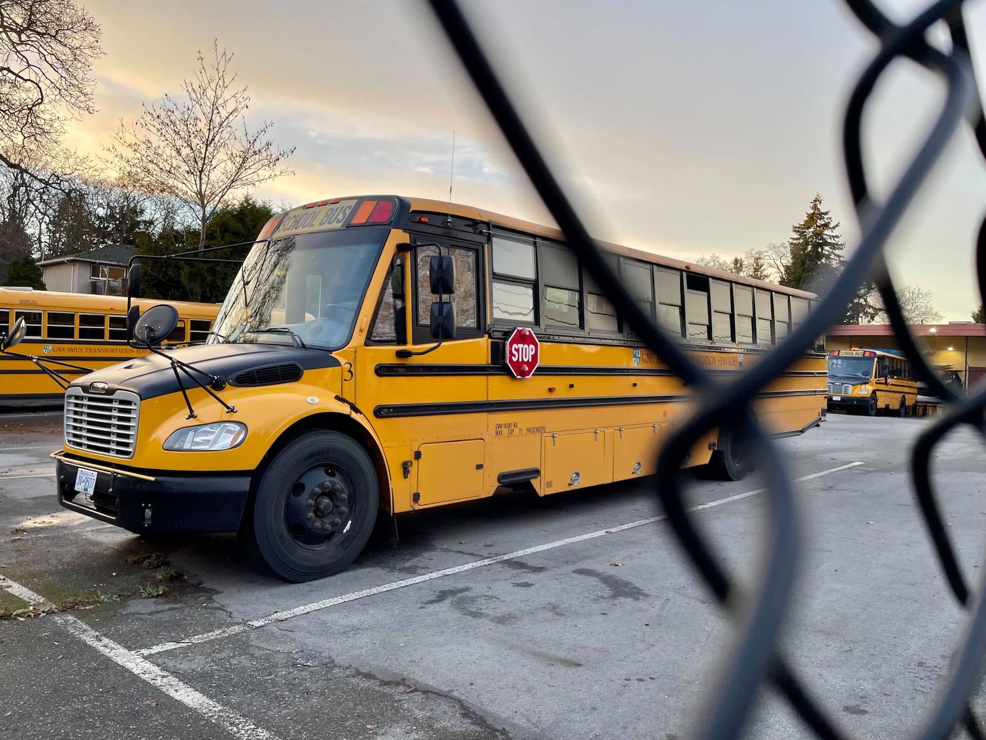School buses in Saanich. Photo: Brishti Basu / Capital Daily