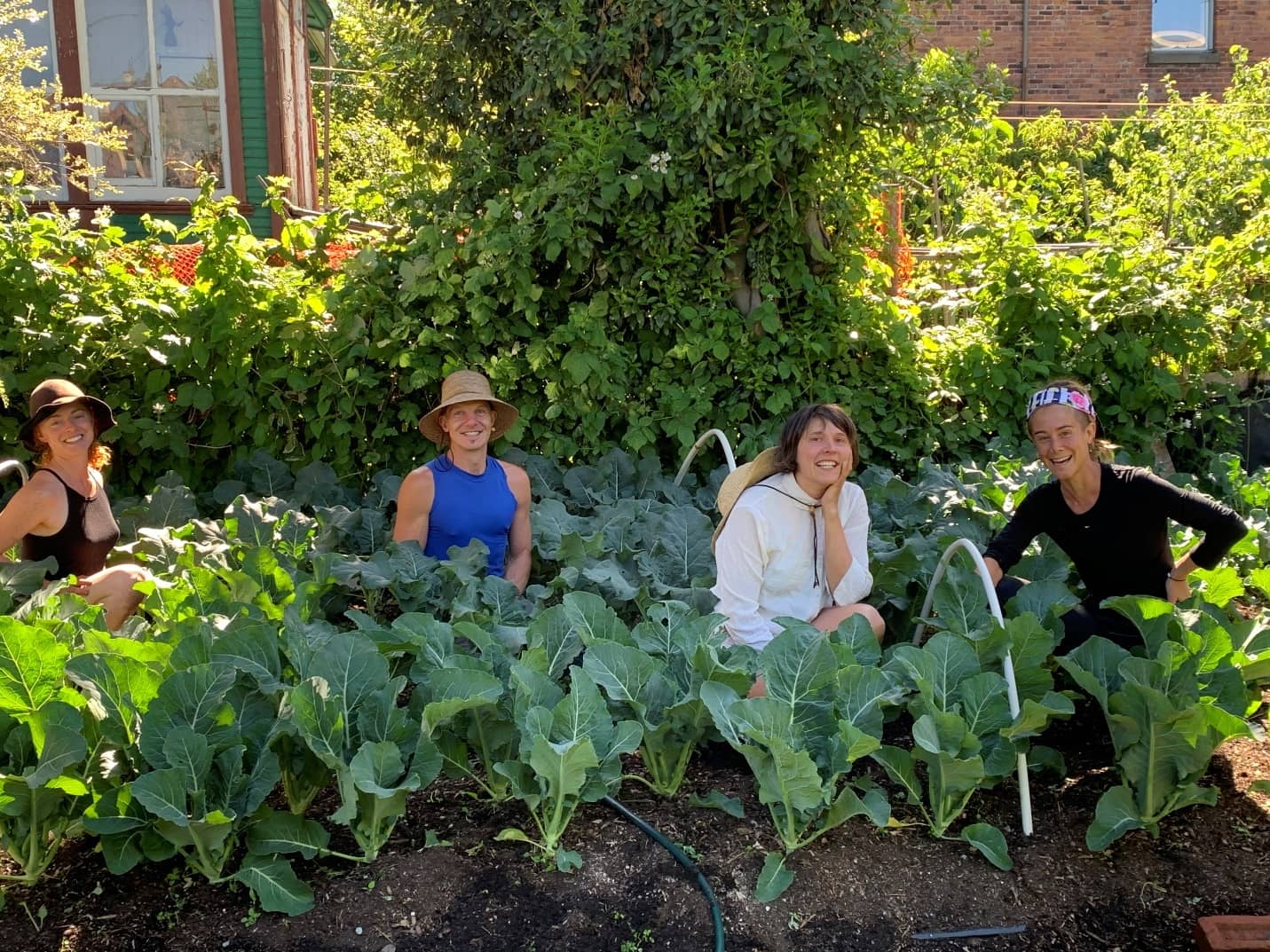 From left: Becca, Jesse, JJ, Christine of Mason Street Farm and The Edible Nursery at 1015 Balmoral. Photo: Kyle Gerrard