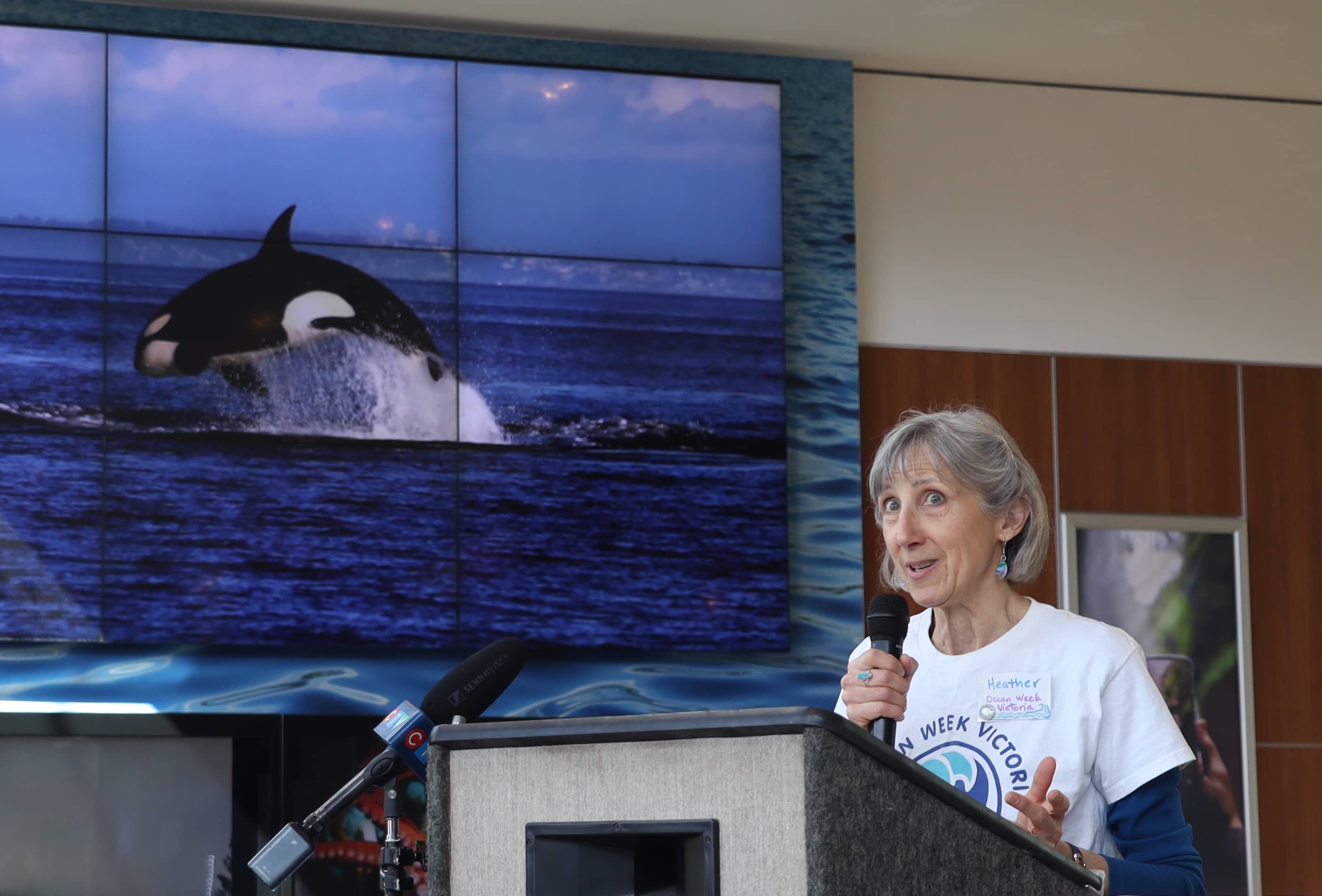 Heather Murray announcing Ocean Week Victoria at the Hillside Mall whale wall. Photo: Robyn Bell / Capital Daily