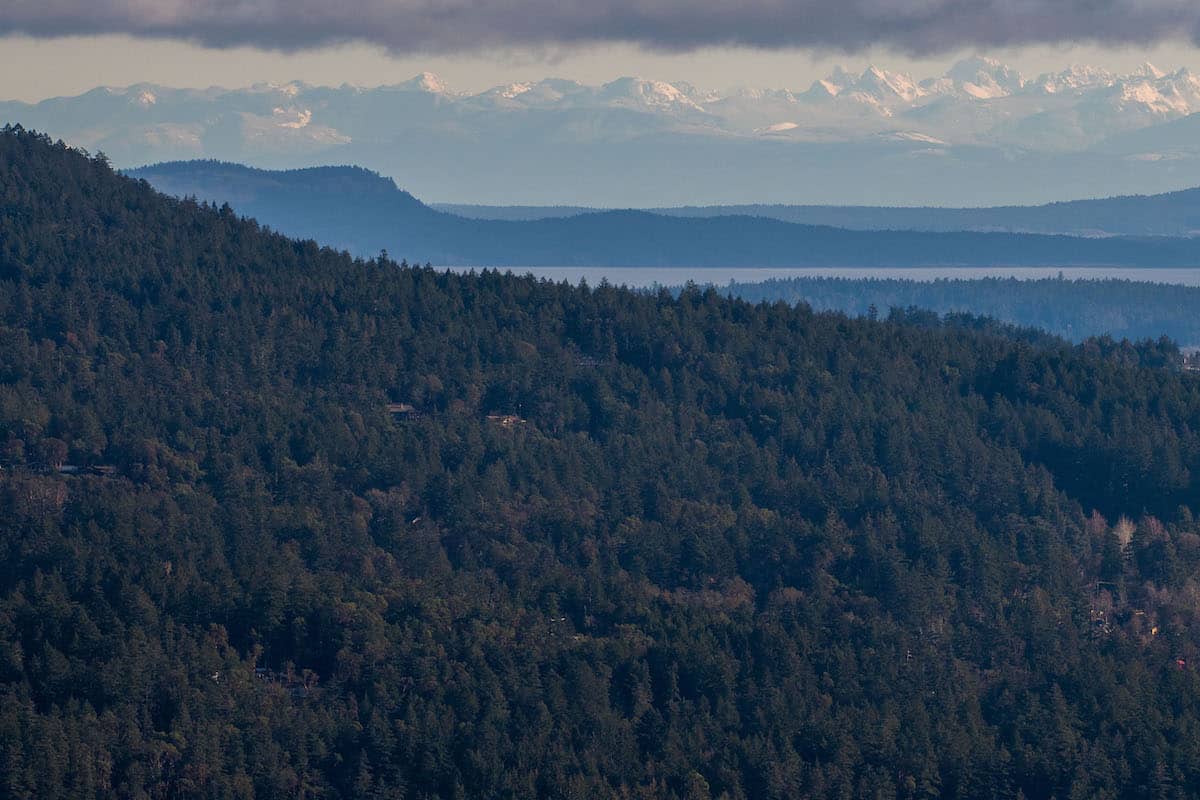 Forest seen from the Malahat. Photo: James MacDonald / Capital Daily