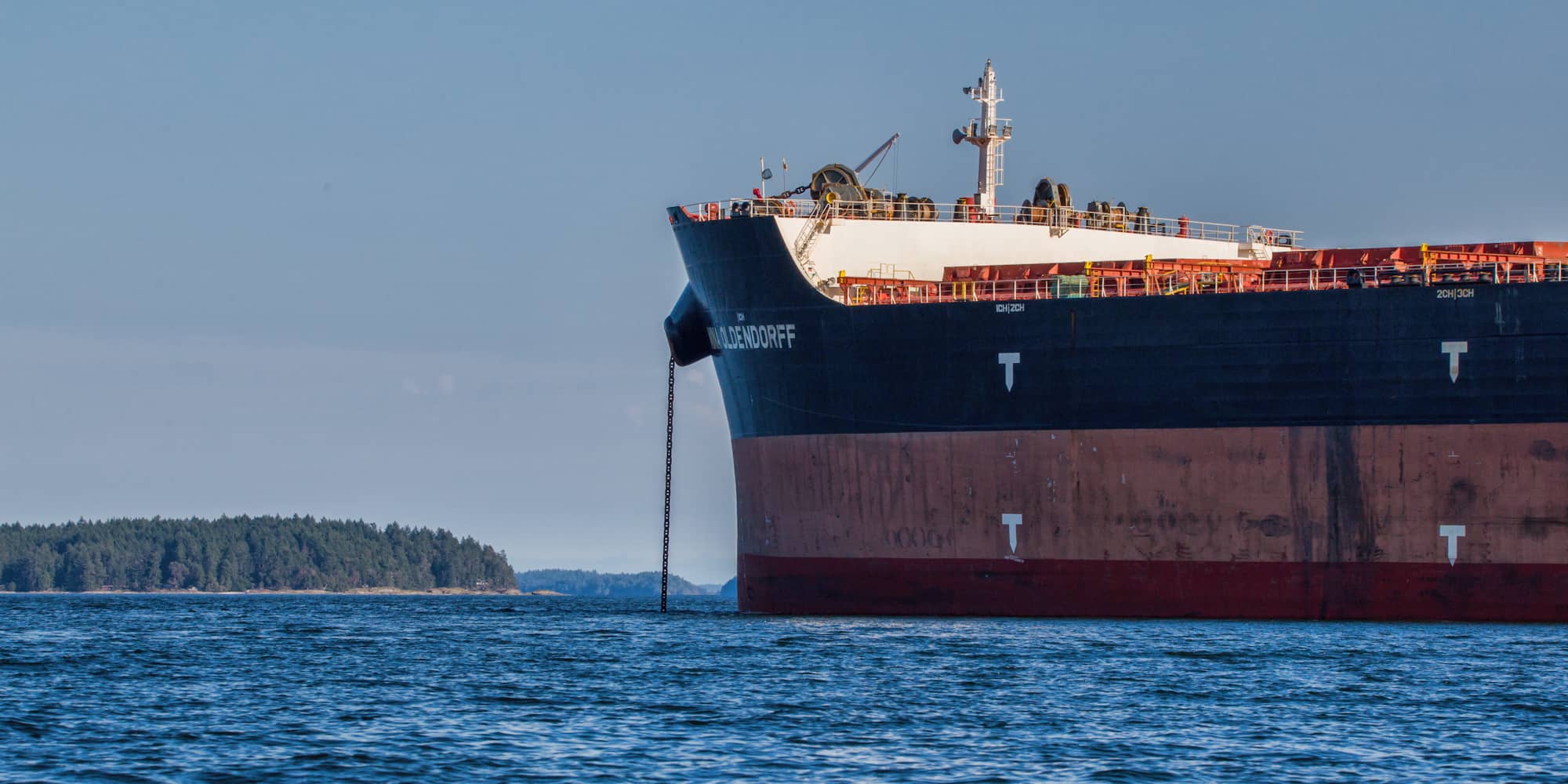 A freighter anchored near Valdes and Thetis Islands in 2019 (Photo courtesy of Chris Straw)