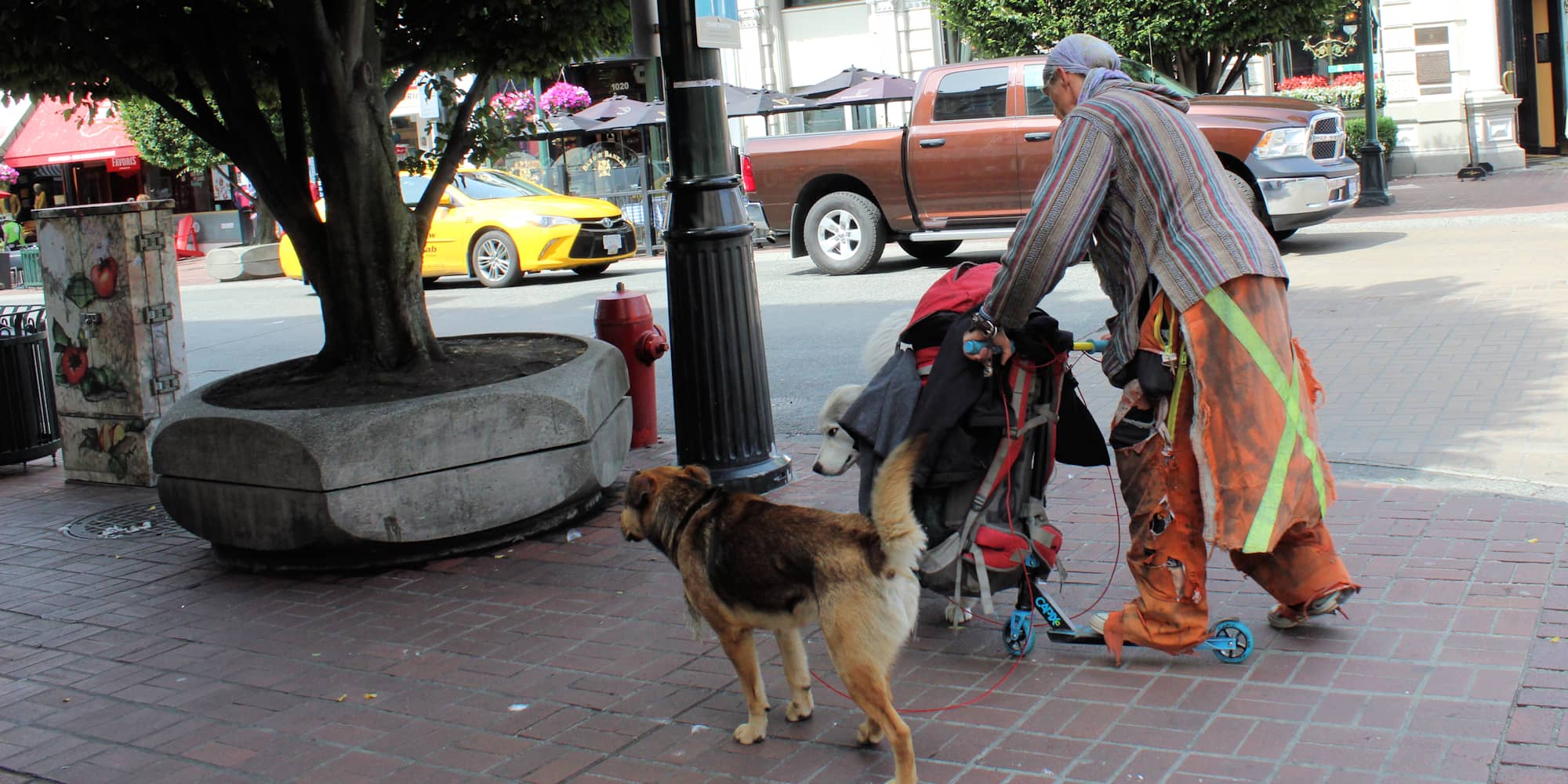 A homeless man on Government Street before the onset of COVID-19 shutdowns (Anne Catherine for The Capital).