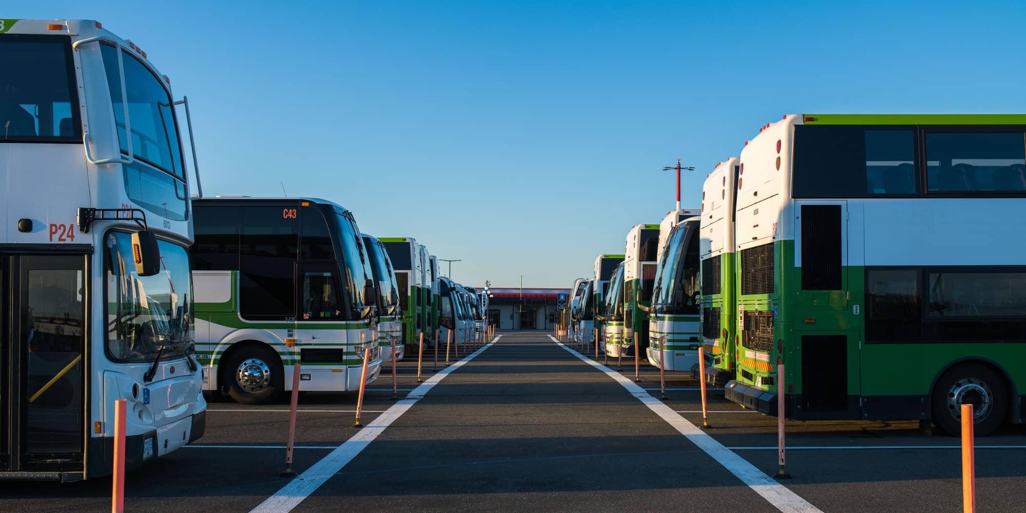 Buses that would typically be used to move cruise ship passengers, now idled for the season at Ogden Point (James MacDonald for The Capital).