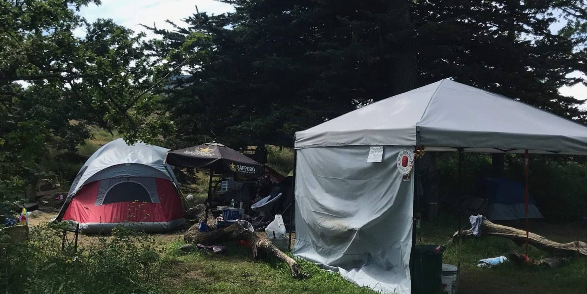 A tent encampment in Beacon Hill Park pictured on May 29, 2020 (Sean Craig)