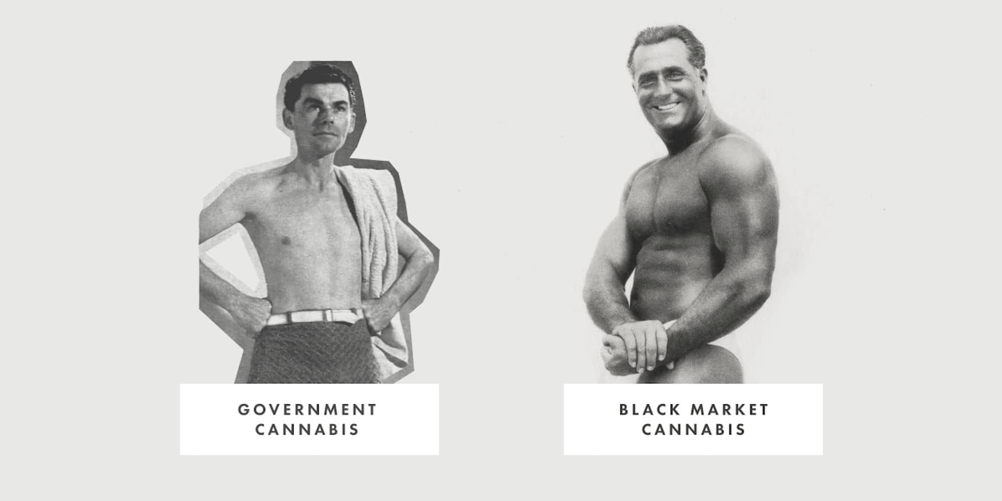 Photo illustration by Tristan Pratt