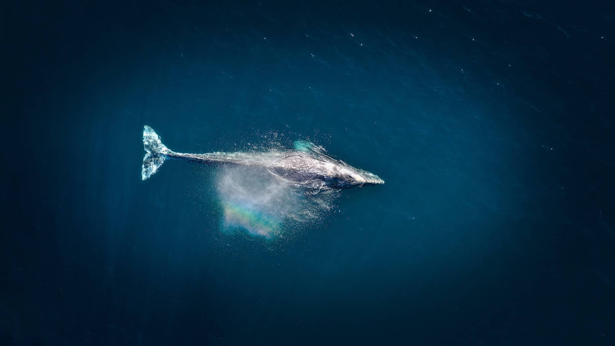 Cameron Venti / Unsplash