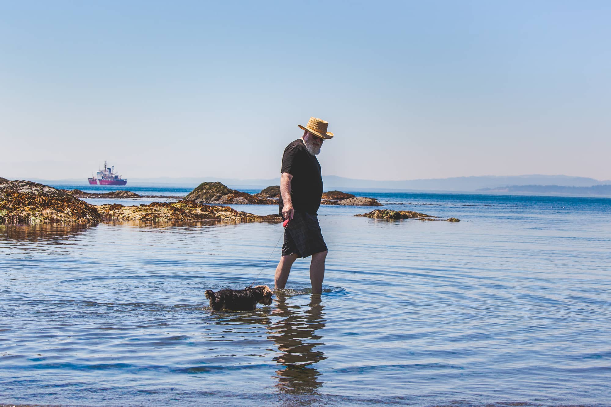 A Victoria man cools his dog off in the ocean on June 28, 2021. Photo: Colin Smith / Capital Daily