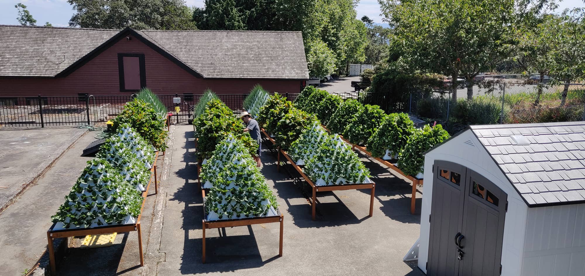 Meet some of the people bringing food to Victorians—for free
