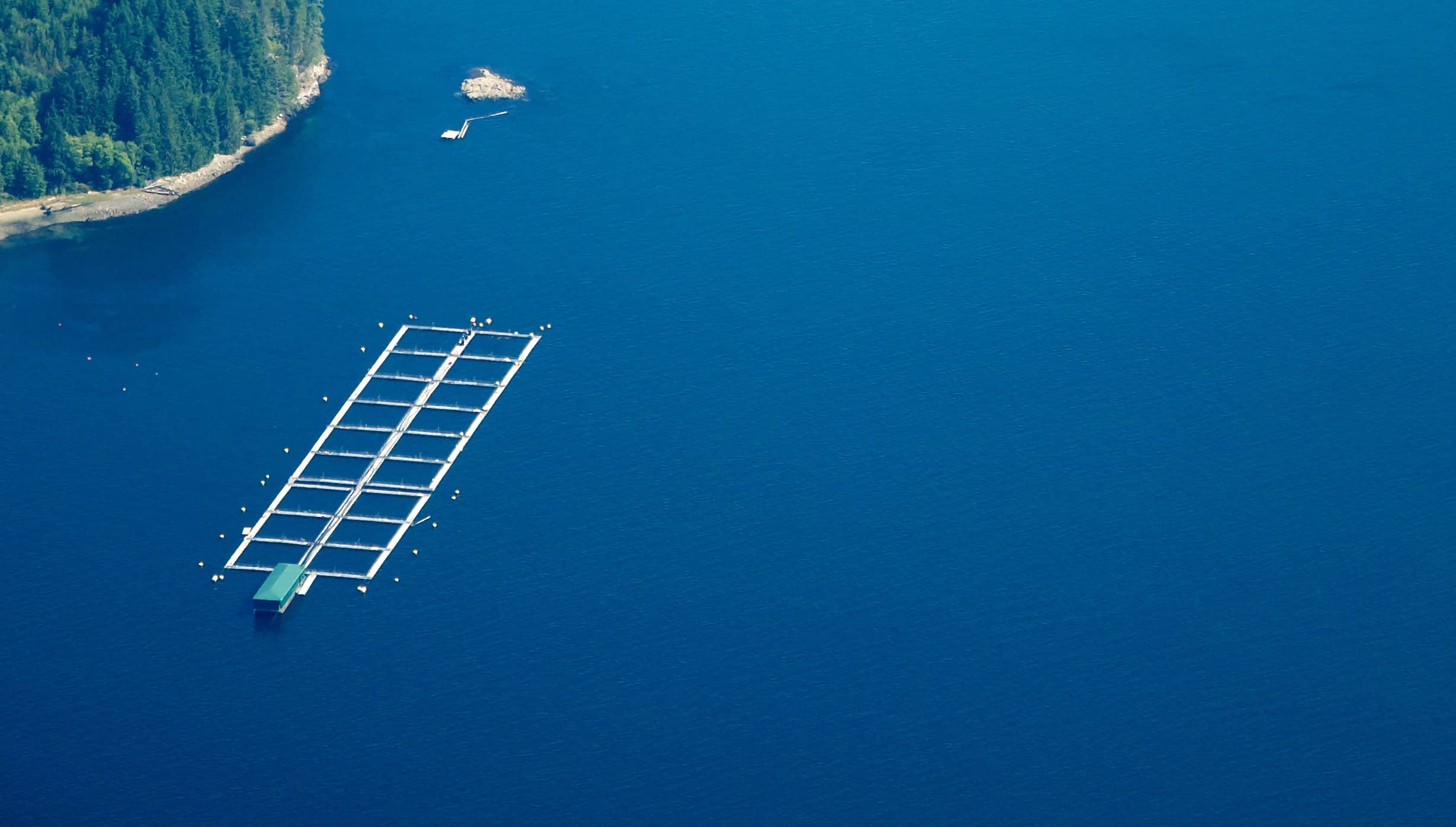 A BC salmon farm, photographed in 2011. Image cropped: Photo: Sam Beebe / Flickr (CC BY 2.0)