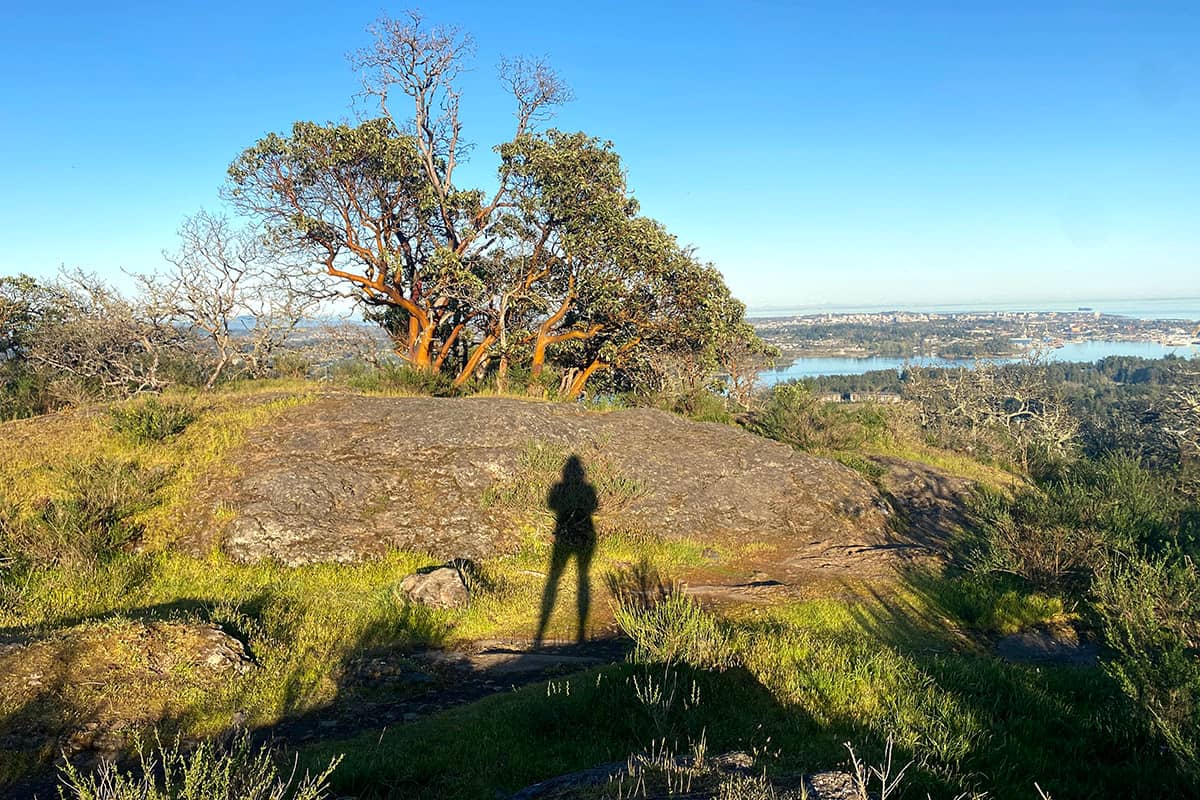 The view from Mill Hill park. Photo: Zoë Ducklow / Capital Daily