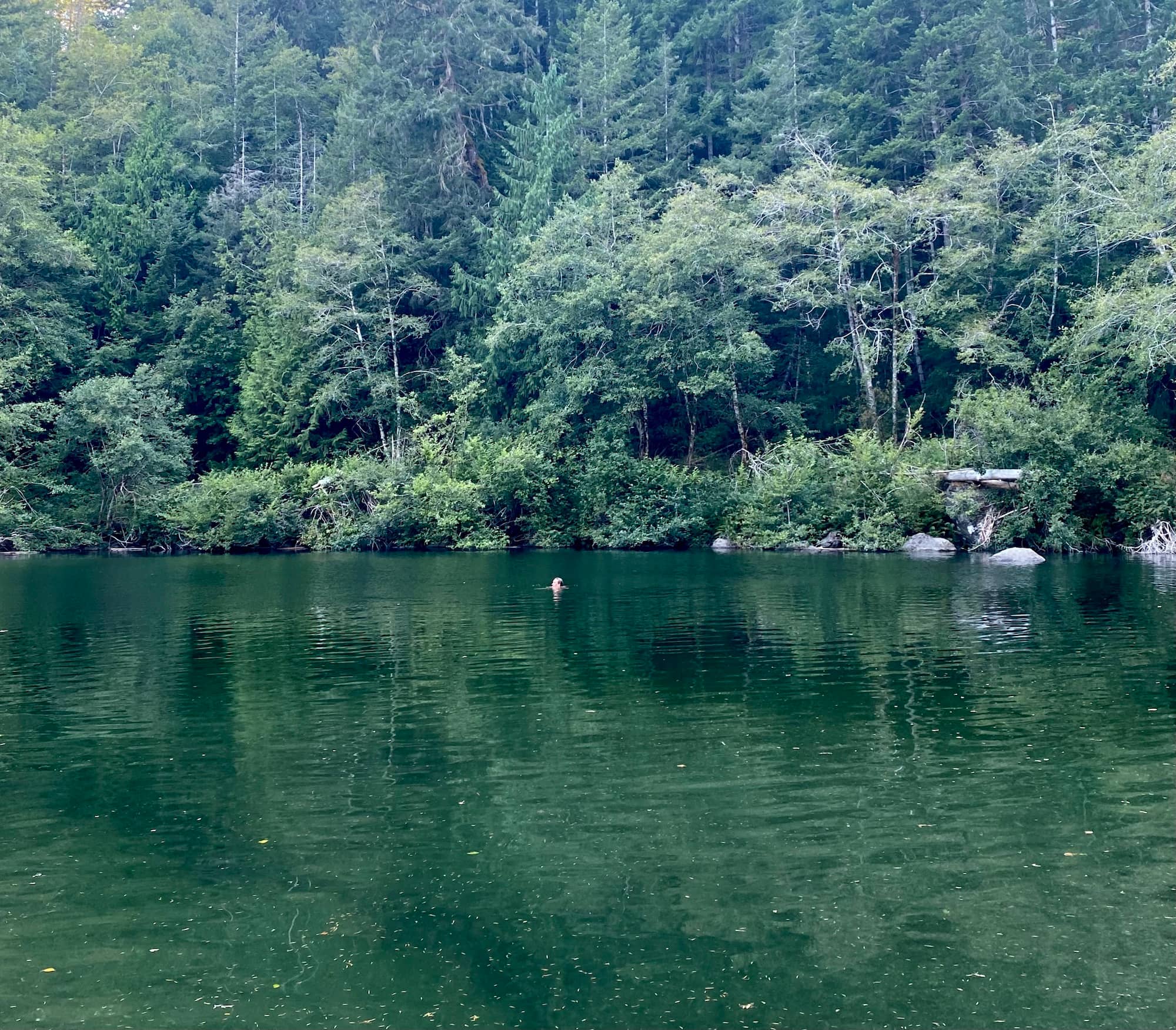 A green view of the Sooke Potholes. Photo: Zoë Ducklow / Capital Daily