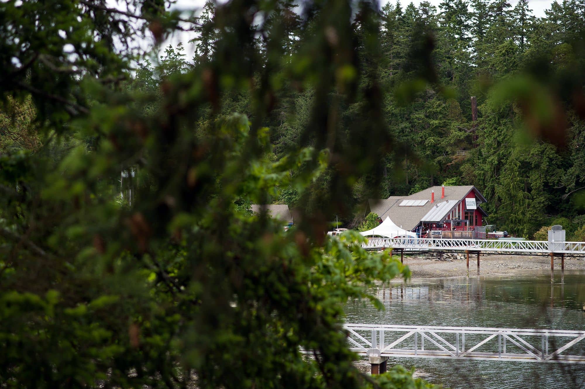 Photo: James MacDonald / Capital Daily
