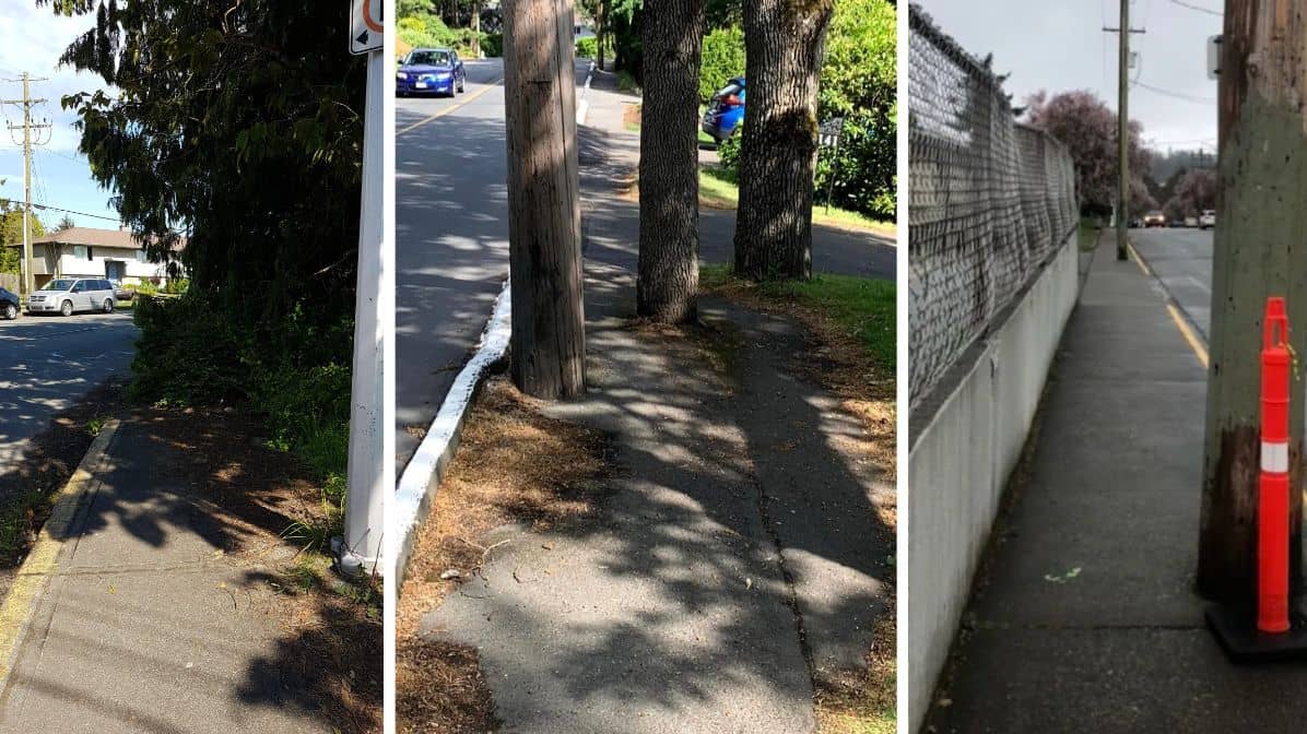 Photos from Walk On, Victoria. Illustration: Martin Bauman / Capital Daily