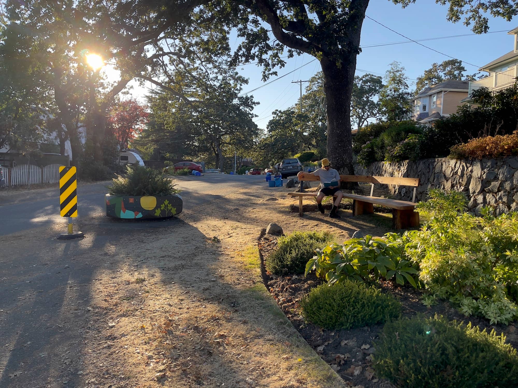 A reader lounges on one of three newly installed Garry Oak benches on Kings Road in Oaklands Rise. Photo: Emily Vance / Capital Daily