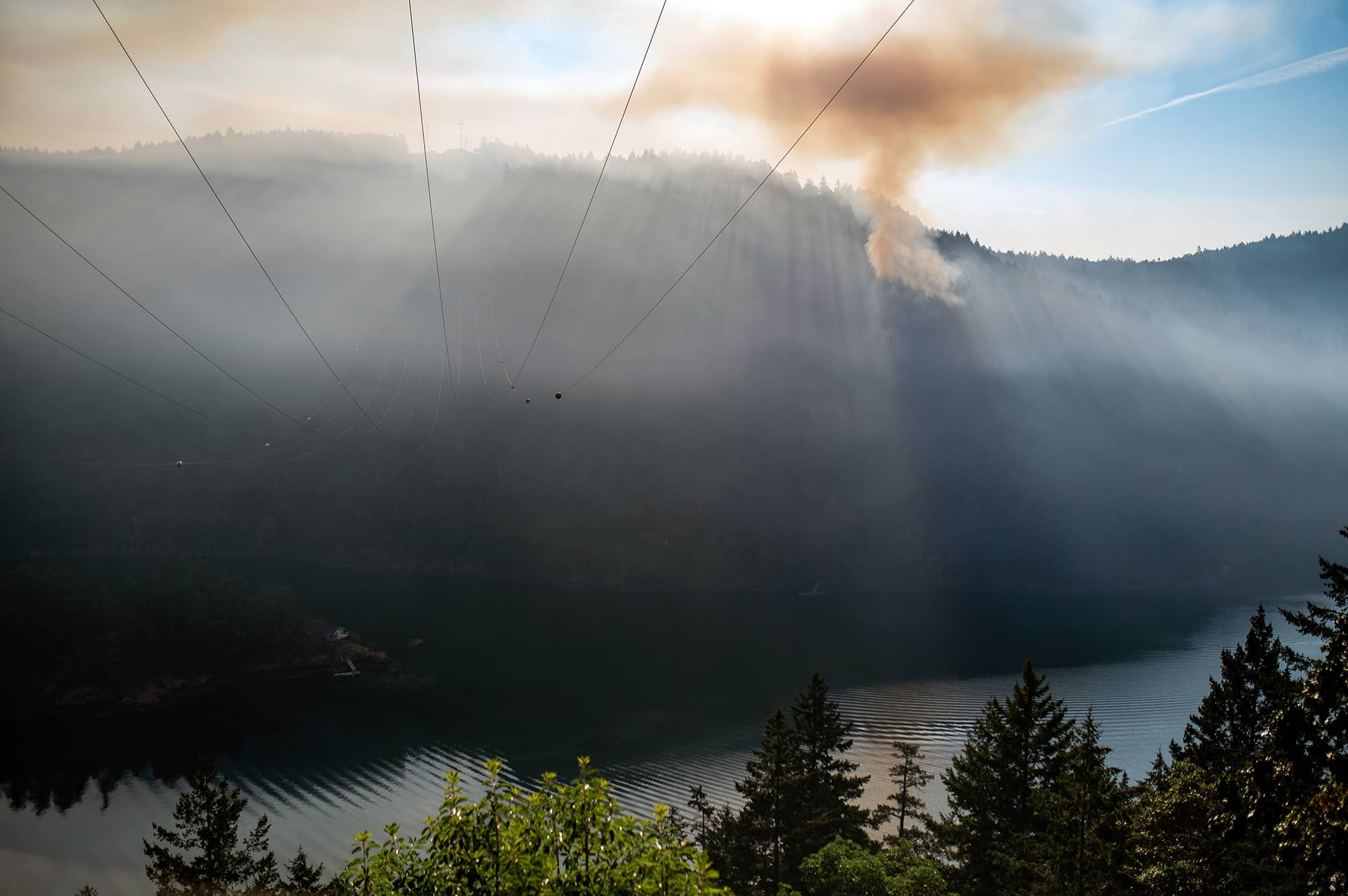Southern Vancouver is extremely dry after months with very little precipitation. On Tuesday, a wildfire broke out in Finlayson Arm. Photo: James MacDonald / Capital Daily
