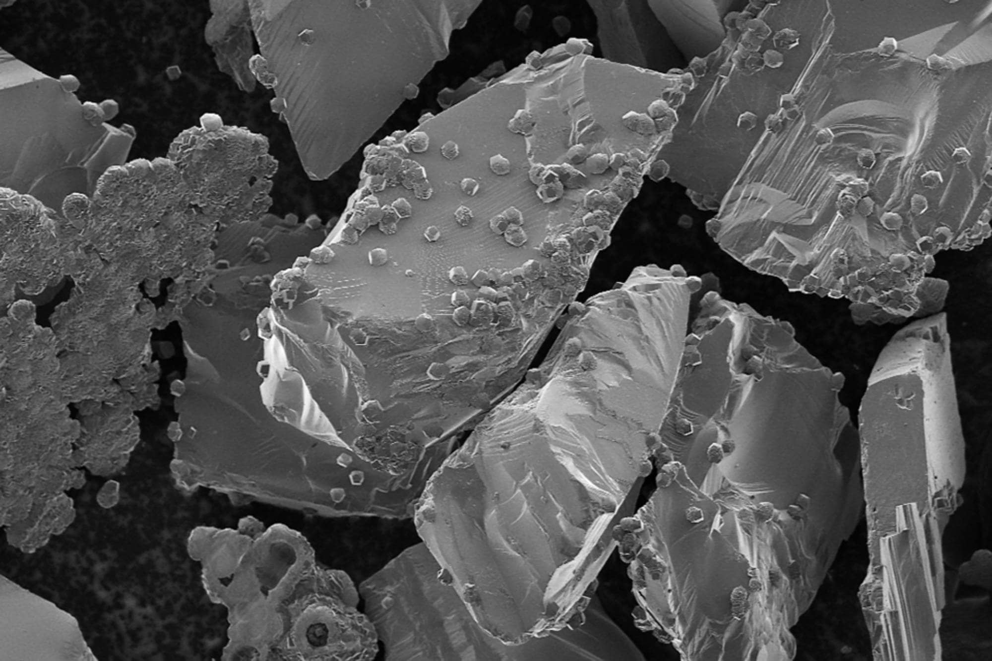 Mineralized carbon dioxide is pictured as small bumps on minerals of basalt rock. Photo: The Reactive Transport Group at the University of Calgary