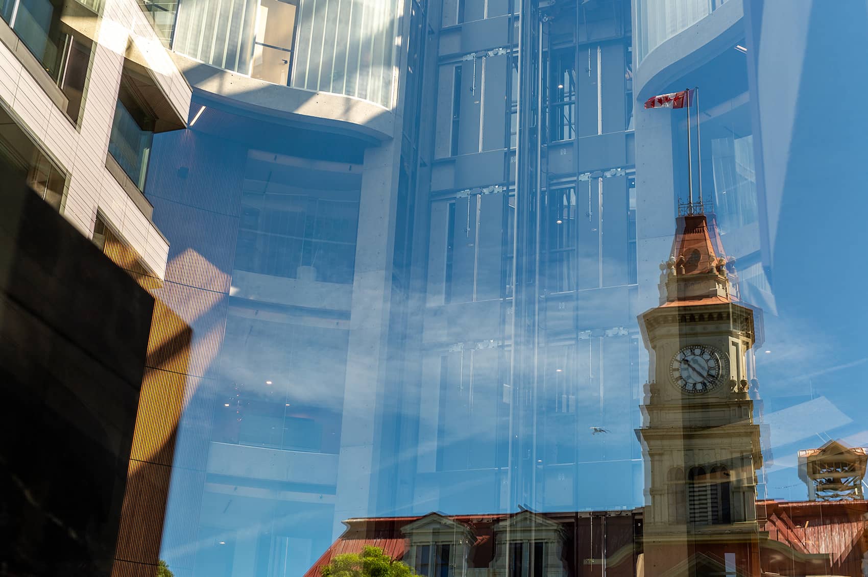 Victoria City Hall. Photo: James MacDonald / Capital Daily