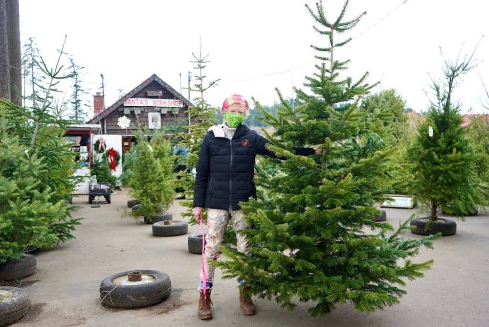 Joan Fleming, owner of the Saanichton Christmas Tree Farm, said overnight irrigation saved many of her trees from drying out during this year’s fall drought. Photo: Provided