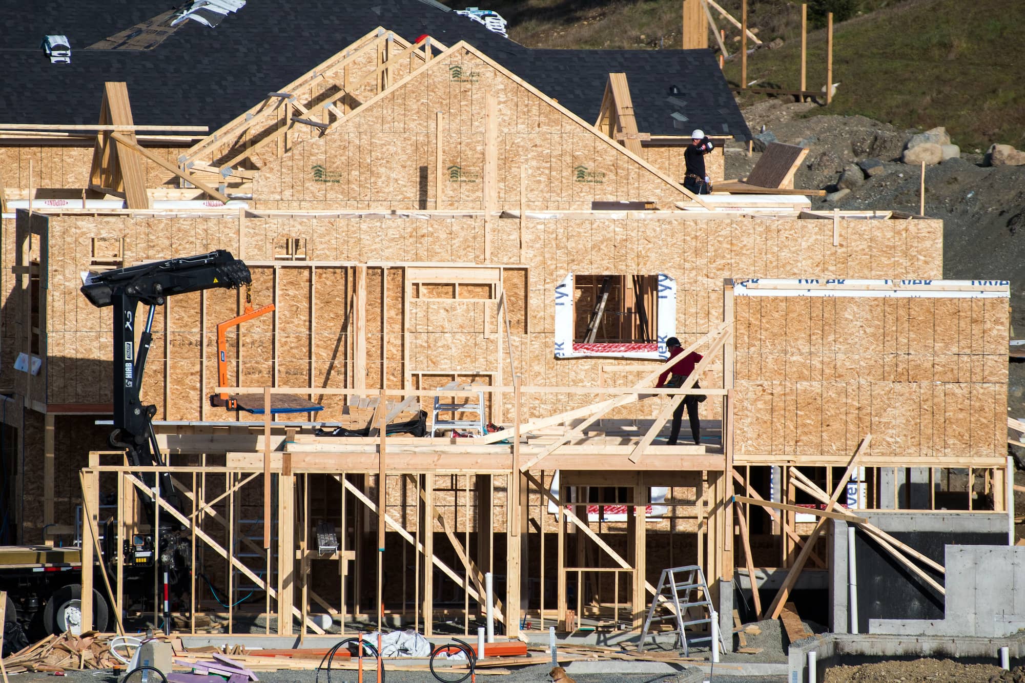 Photo: James MacDonald / Capital Daily