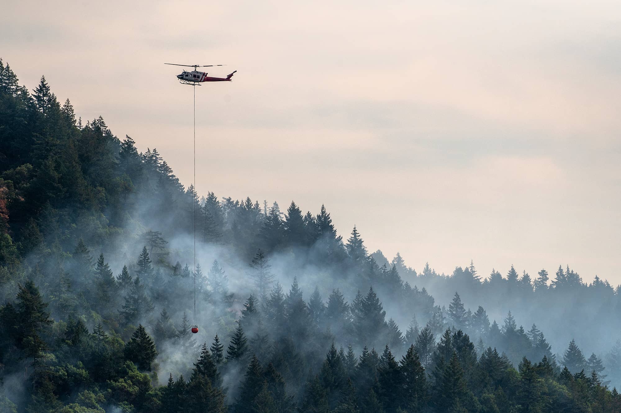 Photo: James MacDonald / Capital Daily