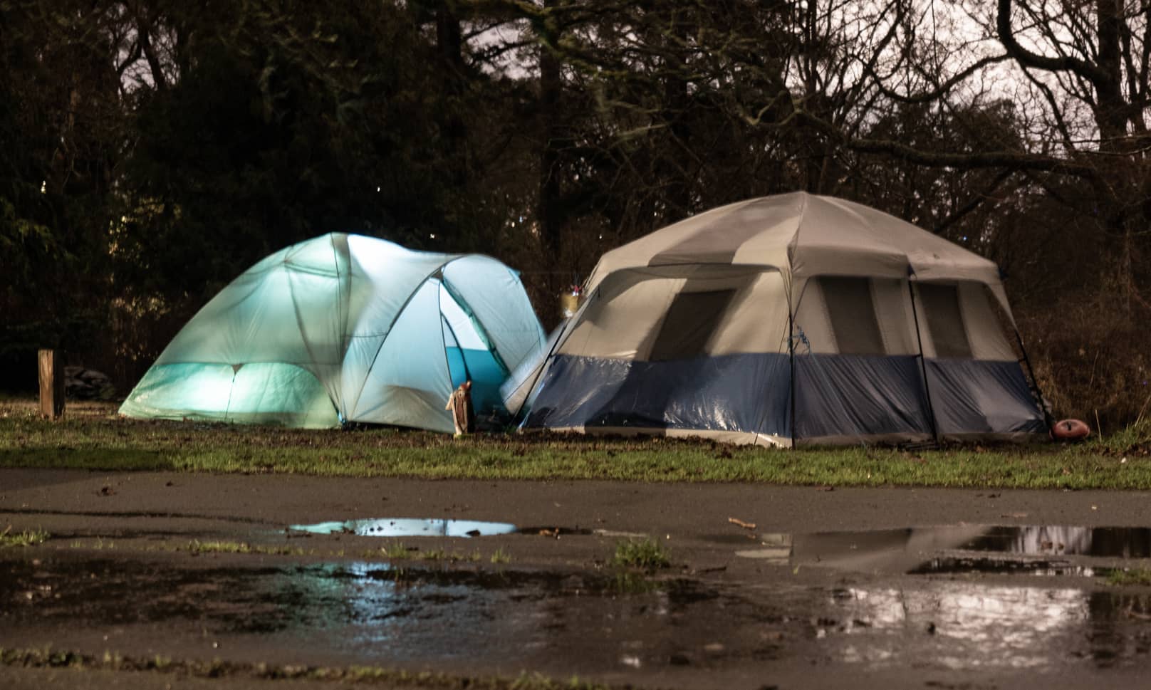 A homeless encampment at Beacon Hill Park in December 2020. Photo: Jimmy Thomson / Capital Daily