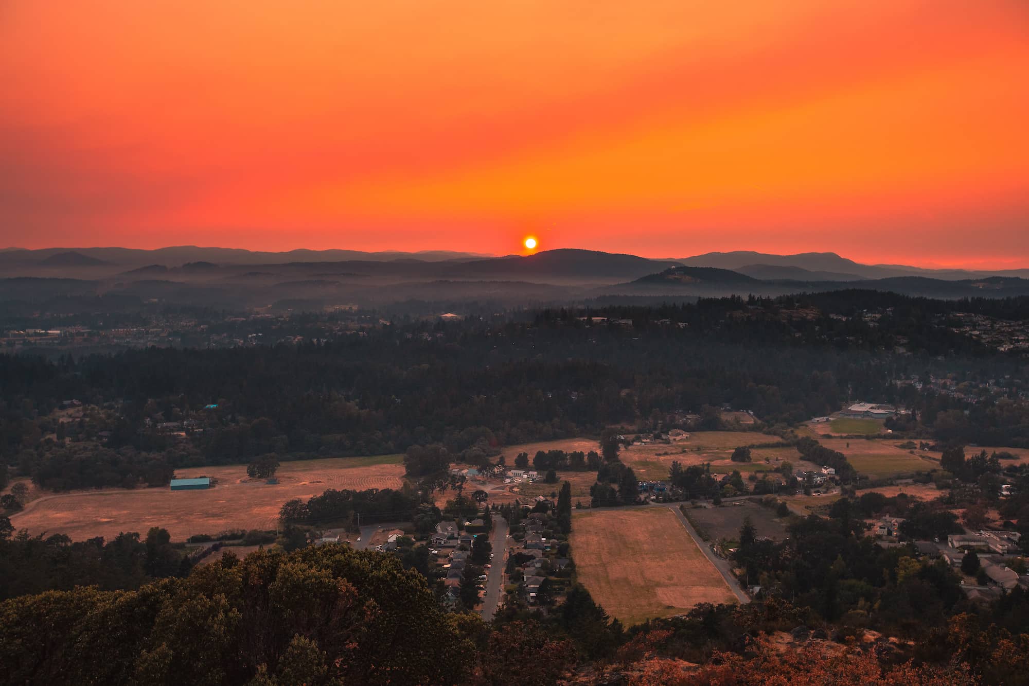 A view of Saanich from Mount Douglas. Photo: James MacDonald / Capital Daily.