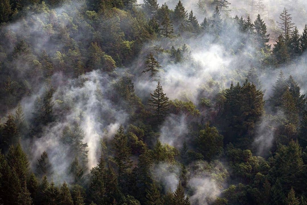 Finlayson Arm burns in early October. Photo: James MacDonald / Capital Daily