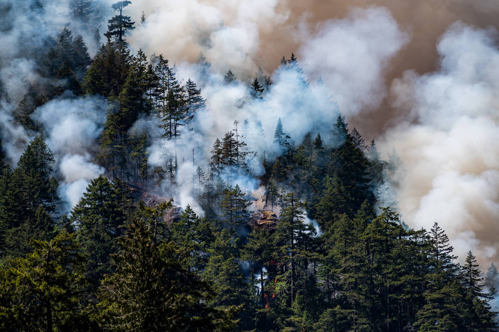 Cameron Bluffs wildfire 2023. Photo: James MacDonald / Capital Daily