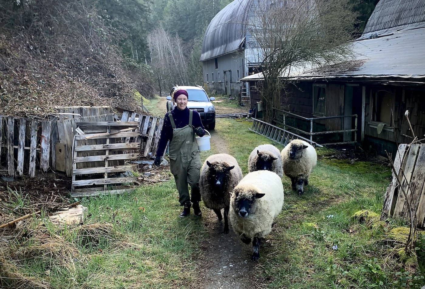 Tarmara McPhail escorts her sheep to pasture each morning on Linnaea Farm, an ecological agricultural land trust on Cortes Island in BC.
