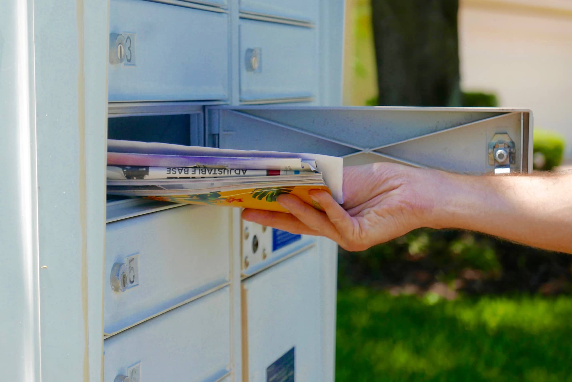 Greater Victoria residents upset after graphic anti-abortion mail sent to homes