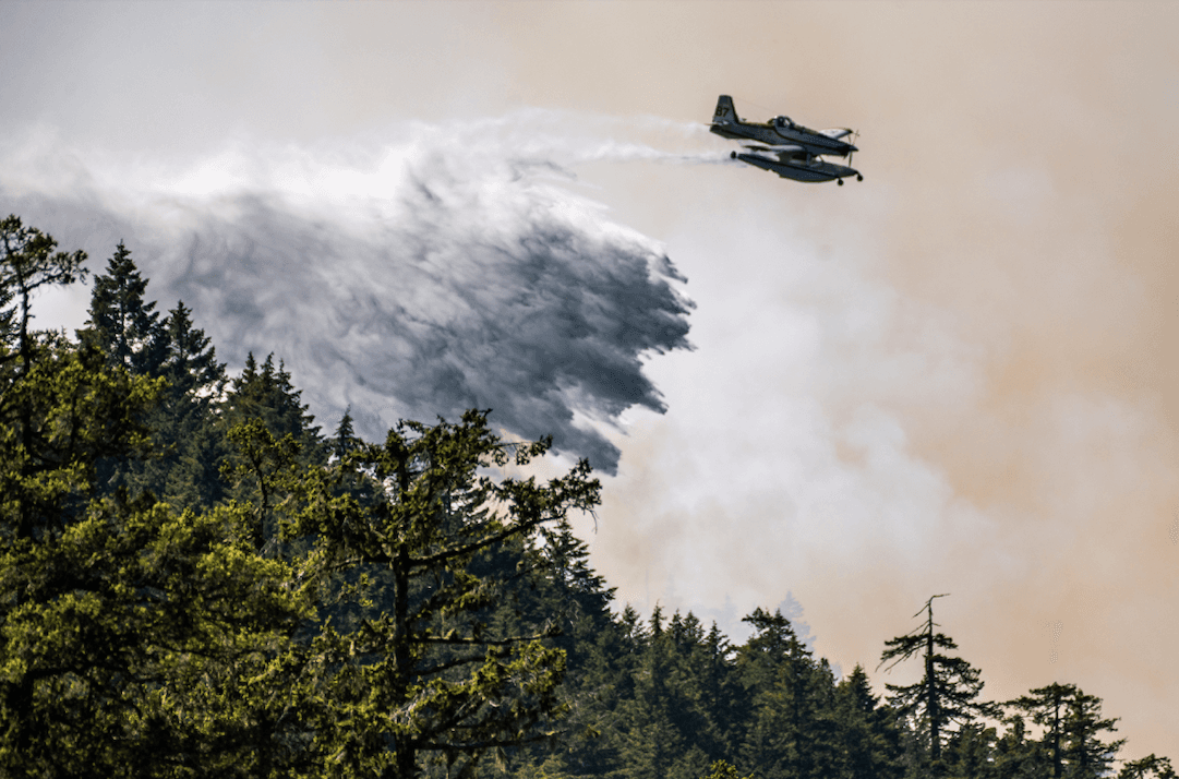 Battling this year's Cameron Bluffs fire. Photo: James MacDonald / Capital Daily