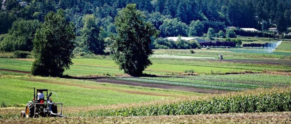 Farmland in Central Saanich. Photo: District of Central Saanich
