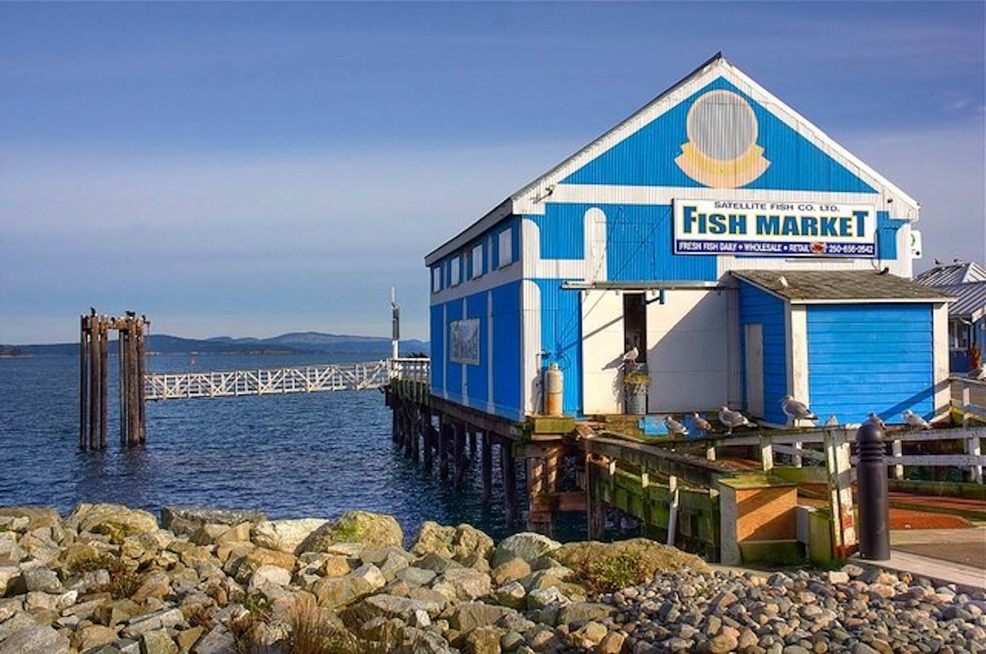 The Satellite Co. Fish Market at Beacon Wharf. Photo: Visitor in Victoria
