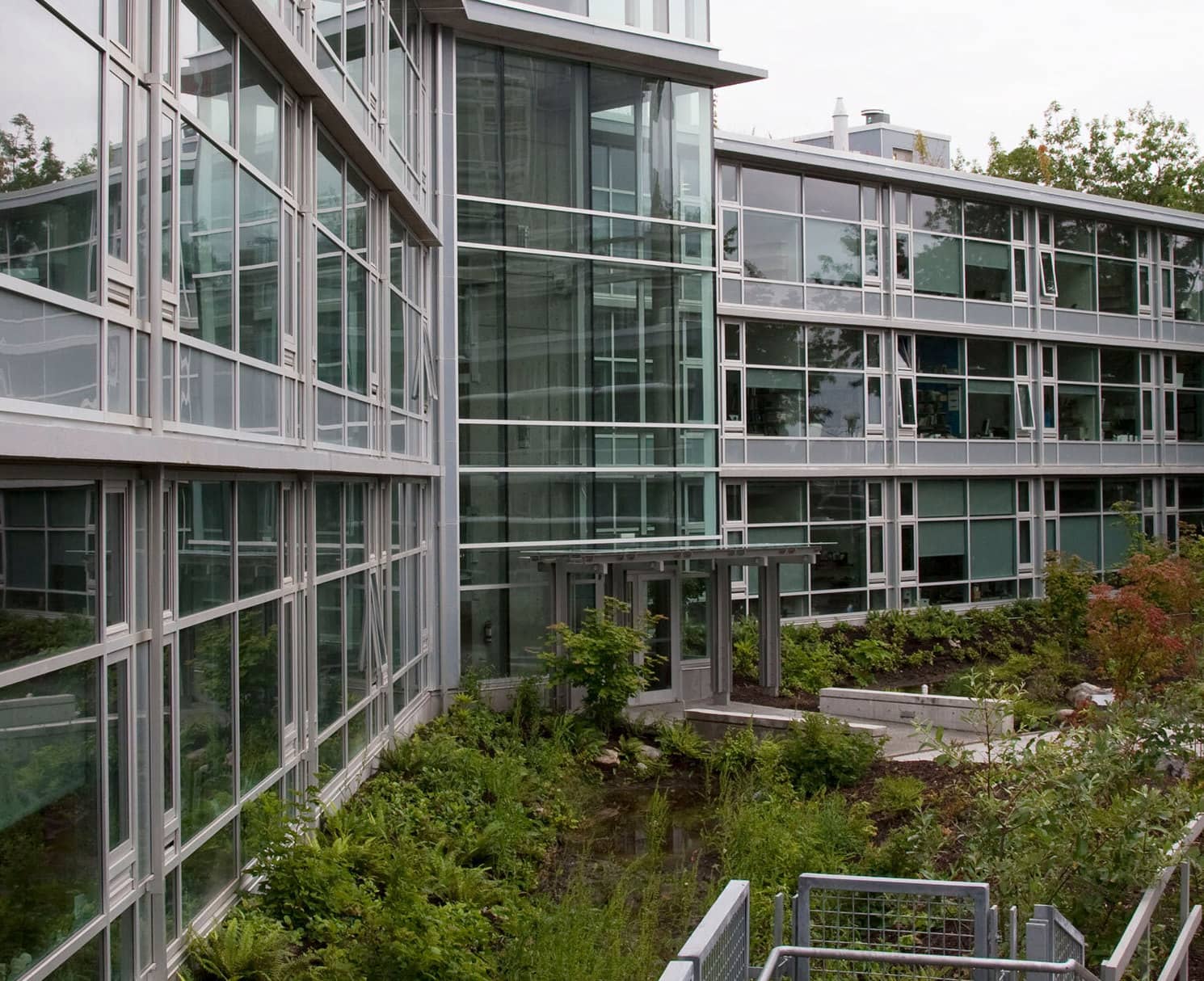 The green roof on UVic's David Turpin Building. Photo: UVic