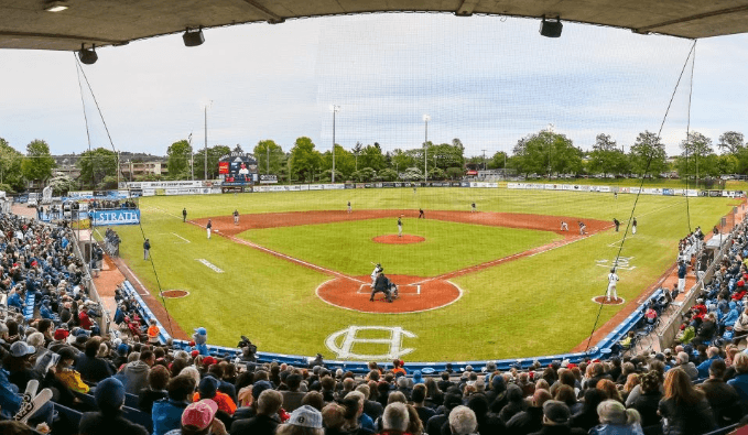 The HarbourCats hosting a game at RAP. Photo: LinkedIn
