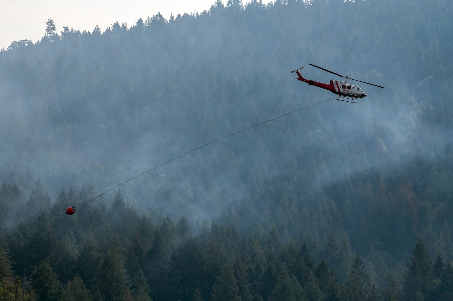 Fire at Finlayson Arm, 2022. Photo: James MacDonald / Capital Daily