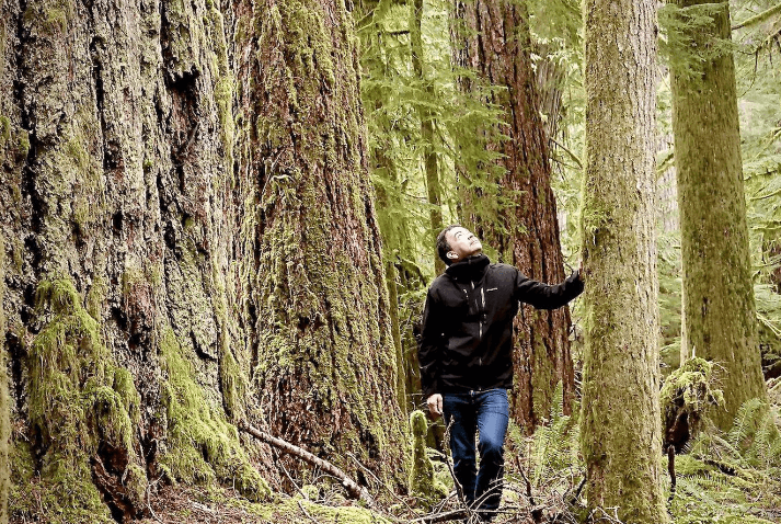 BC misses the mark with old-growth update, critics claim