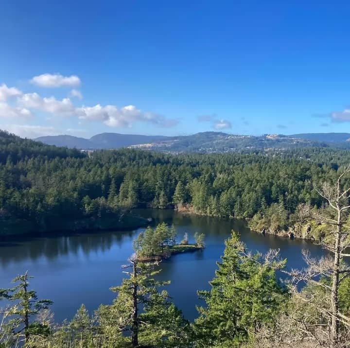 Langford Lake, pictured, was one of several Victoria beaches with elevated bacteria levels in June. Photo: City of Langford.