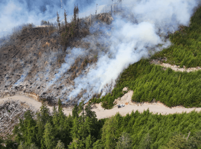 Last July's 16.6-ha Klanawa River fire was discovered on southwest Vancouver Island, one of almost 3K that made last year the most devastating on record in British Columbia. Photo: BC Wildfire Management Branch